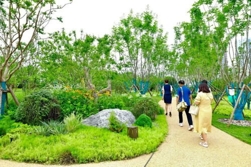 一條名為“幸福”的道路 串起西安綠色長廊的樹木種植經(jīng)營