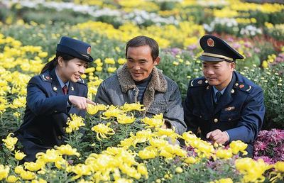 譙城工商積極引導(dǎo)農(nóng)民轉(zhuǎn)型，花木種植經(jīng)營(yíng)成致富新路徑